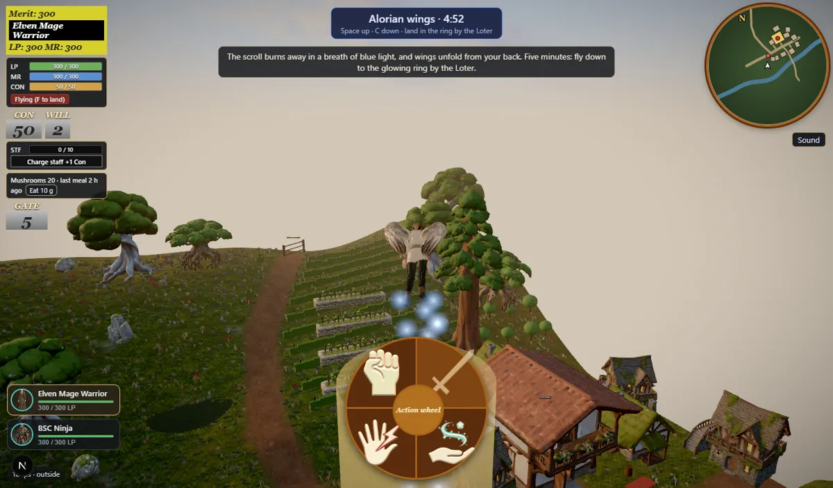 Synnibarr Online: flying over the valley toward the village